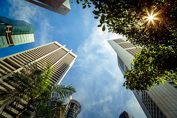 Beat the Heat: Essential Tips for Staying Safe During a Heat Advisory